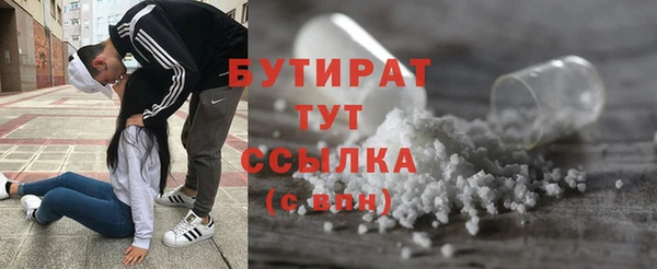 стаф Аркадак