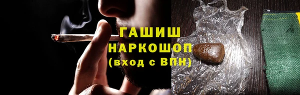 стаф Аркадак