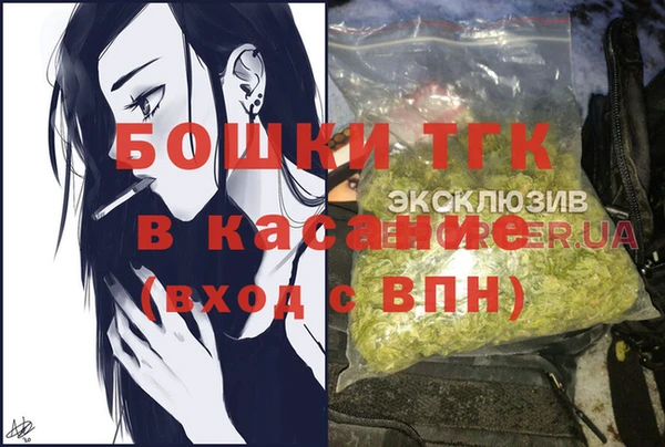 стаф Аркадак