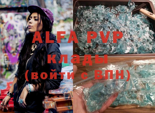 стаф Аркадак