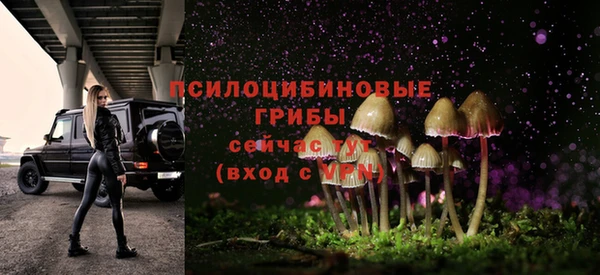 дживик Армянск