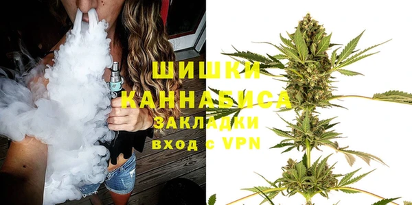 стаф Аркадак