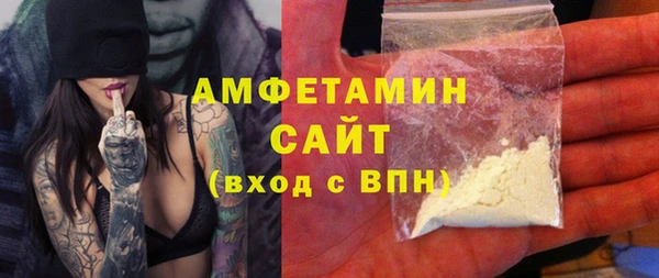 стаф Аркадак